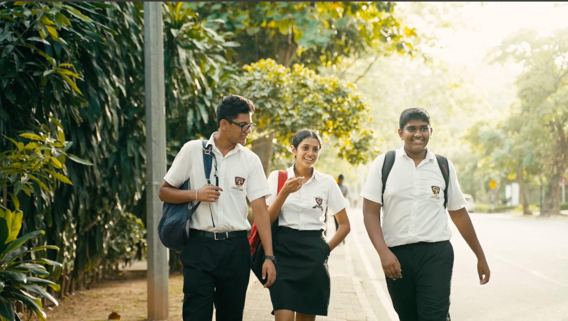 Colombo School of Arts and Sciences